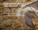 17.08.2026 - Cycon - POST 01
